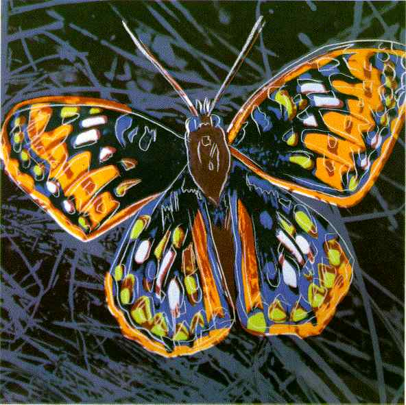 butterfly