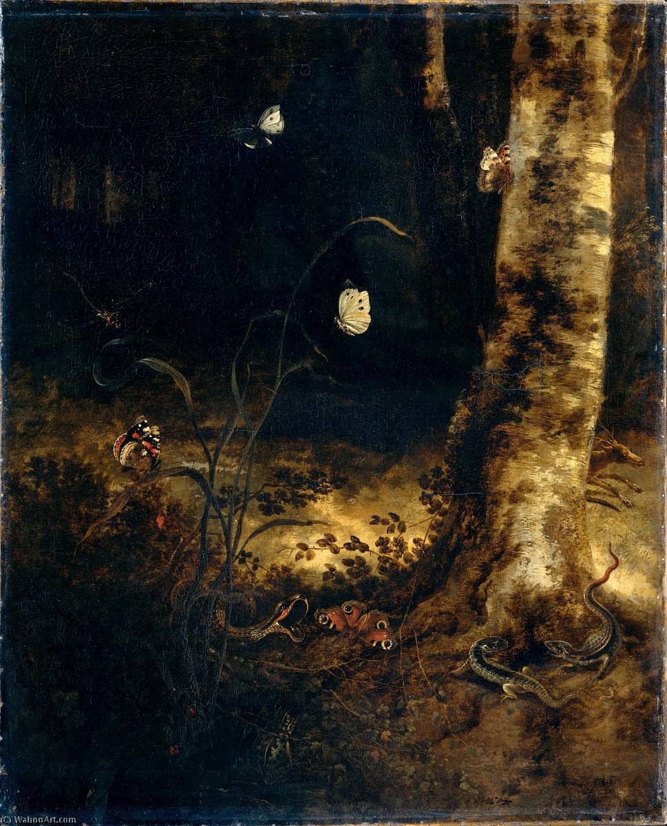 Forest Floor Still Life With Butterflies And Reptiles 1678 By