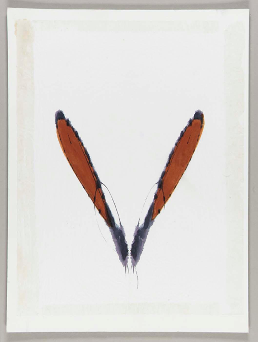 Oil Painting Replica Laurel`s Rabbit, 1971 by Joseph Cornell (Inspired ...