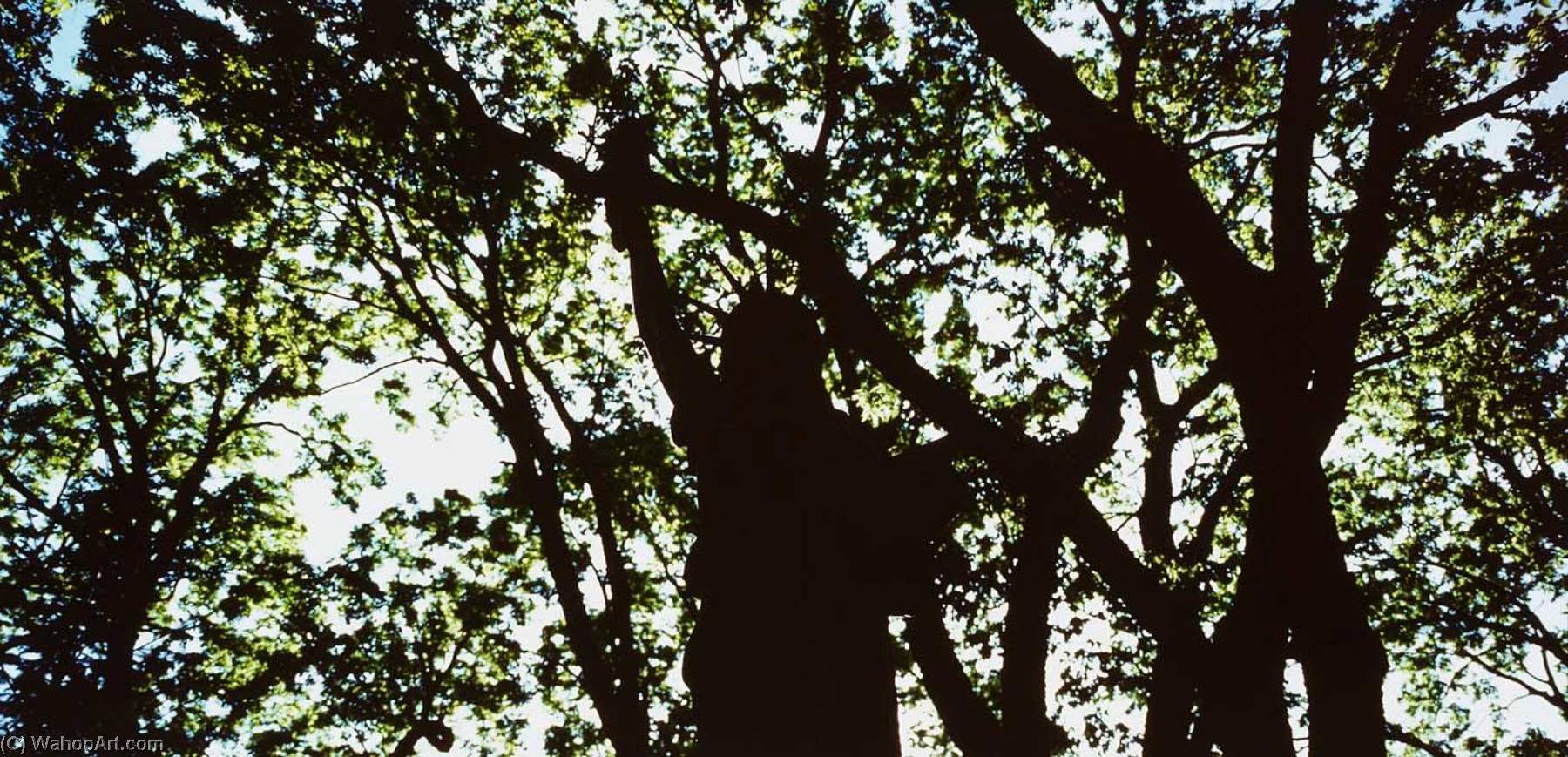 Statue of Liberty, Glen Elder, Kansas, from the portfolio Statues of