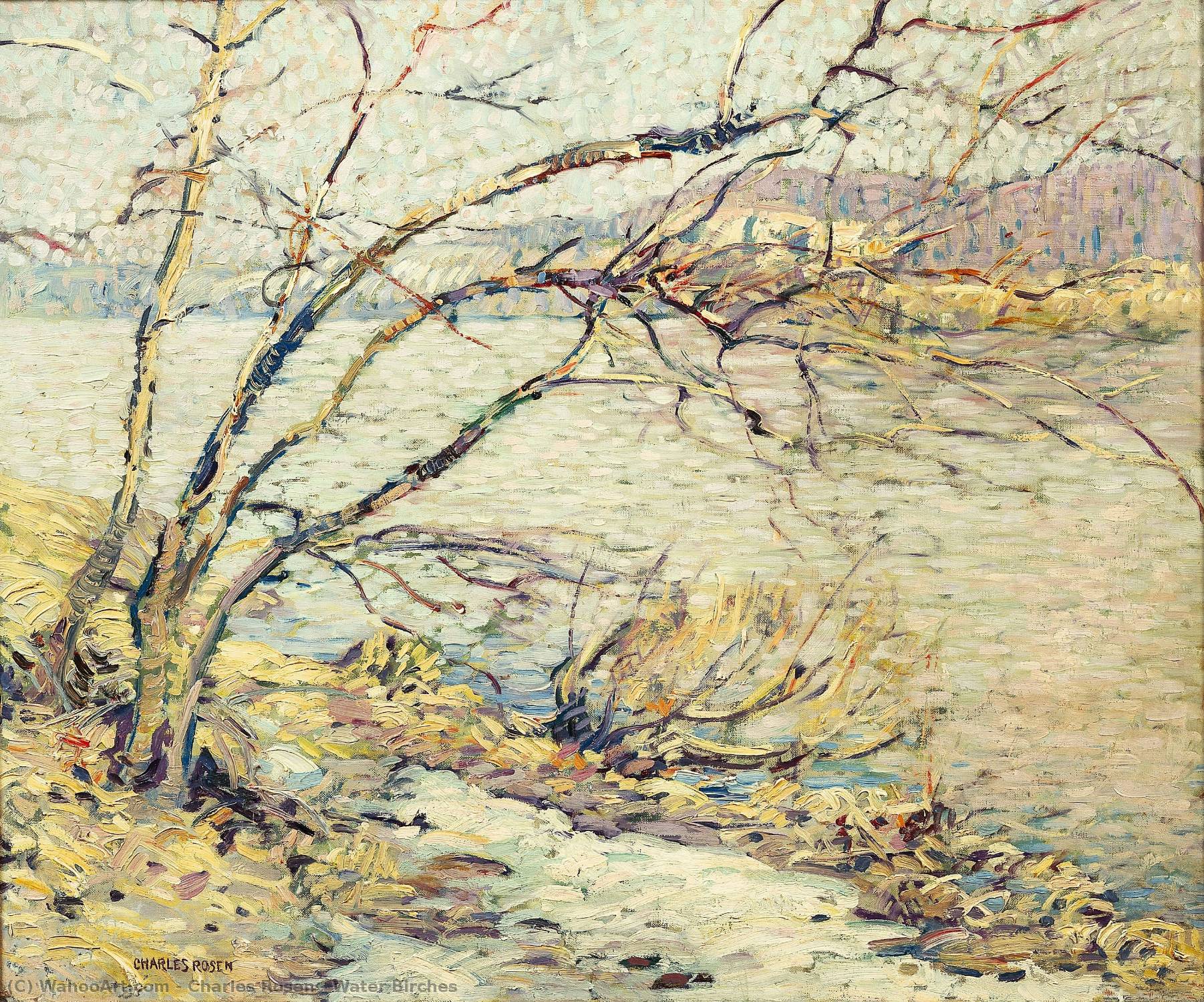 Birches d`eau de Charles Rosen (1927-2012) Charles Rosen | WahooArt.com