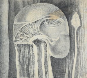 dusan thomas marek
