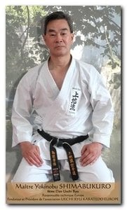 kano yukinobu