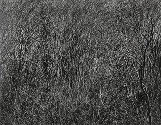 Rhode Island — Harry Callahan