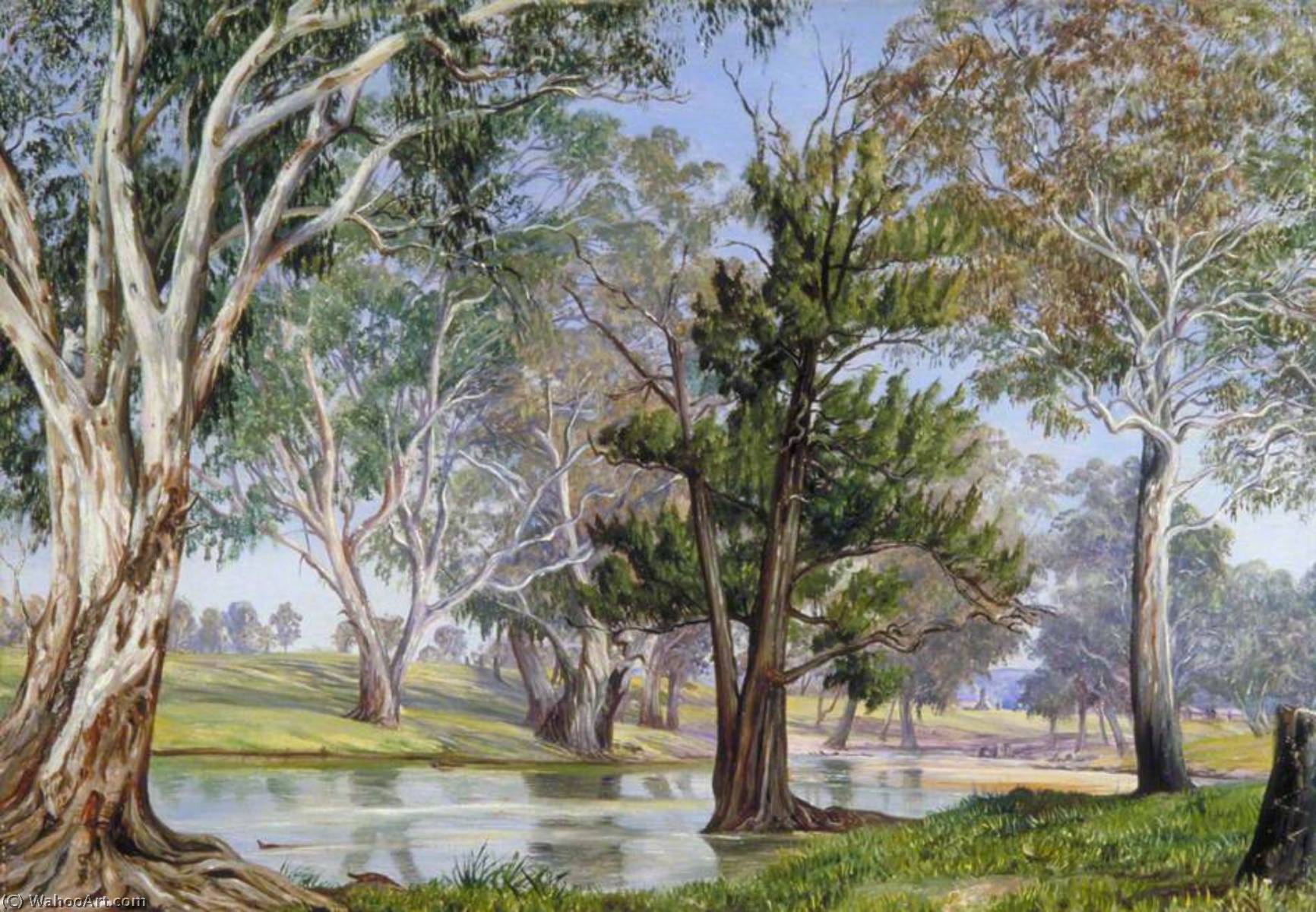 Plant Og Dyreliv Ved Mudgee, New South Wales — Marianne North