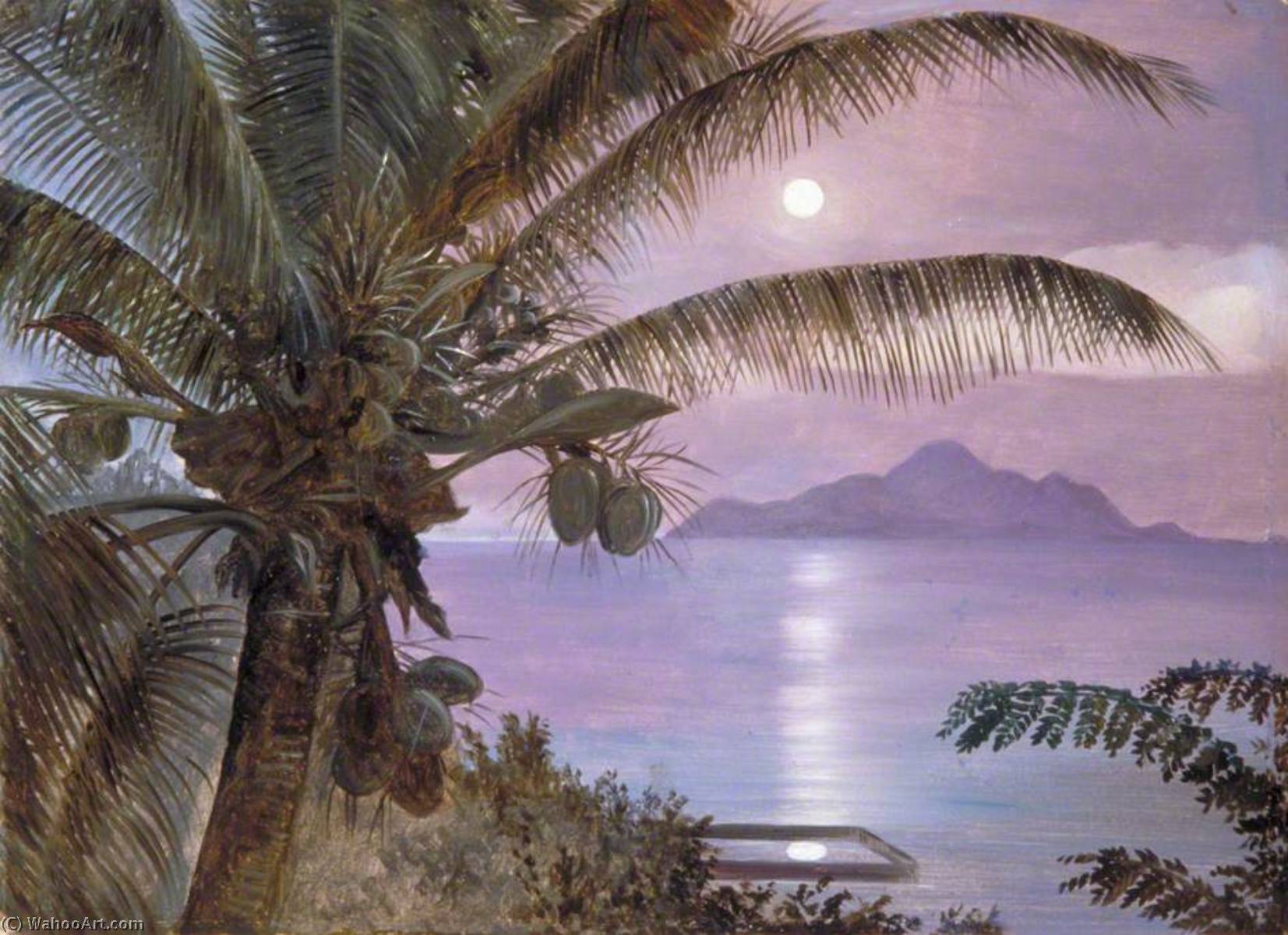 Moon Reflected In A Turtle Pool, Seychelles — Marianne North