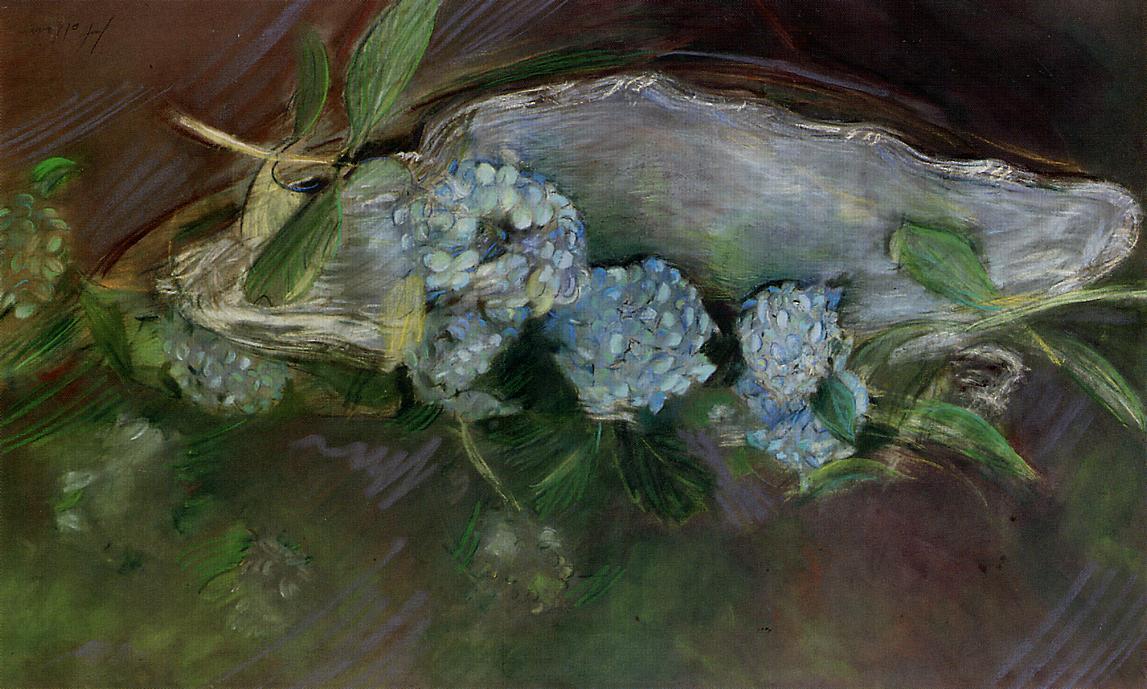 Hydrangeas — Paul César Helleu