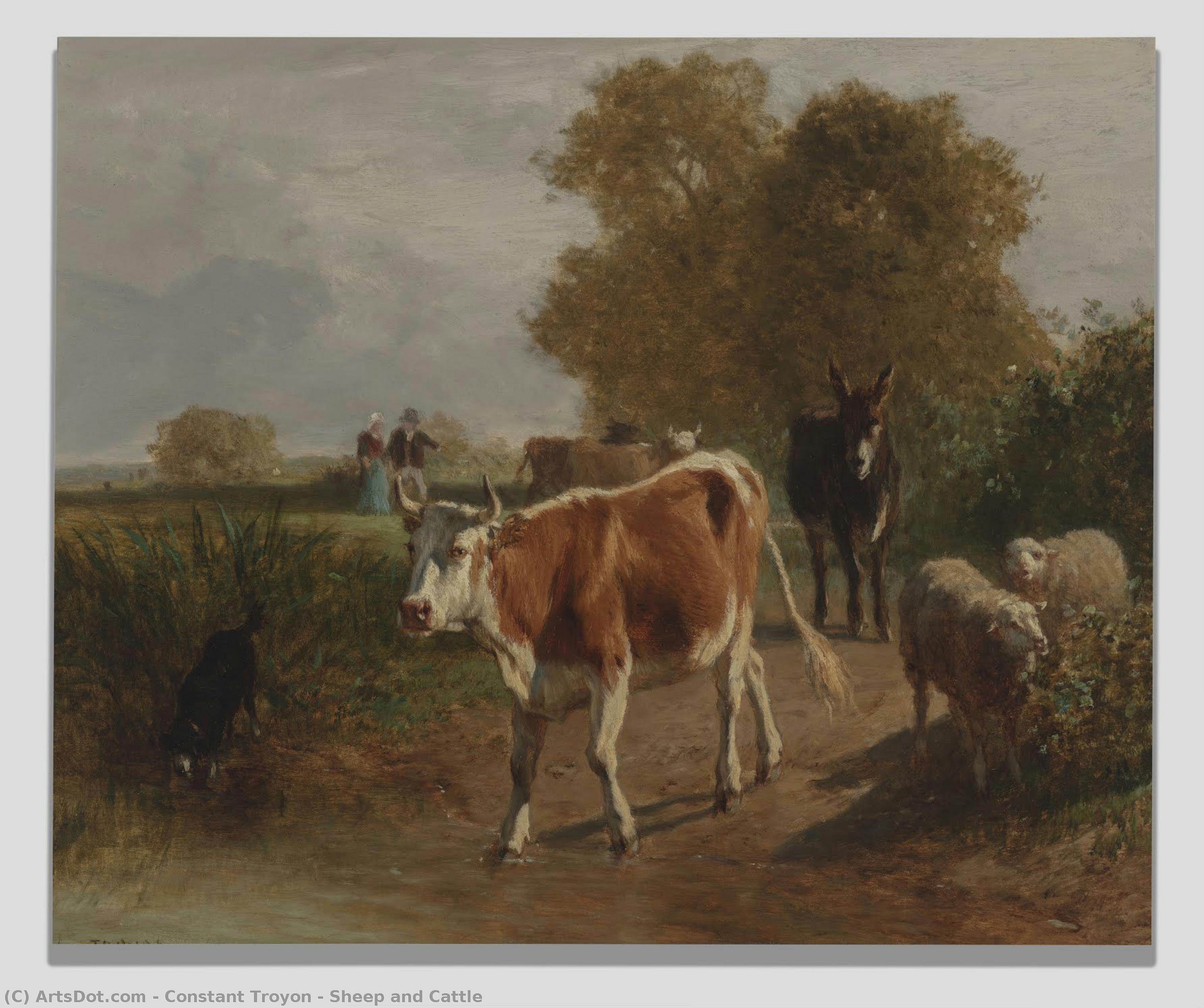 Sheep And Cattle — Constant Troyon
