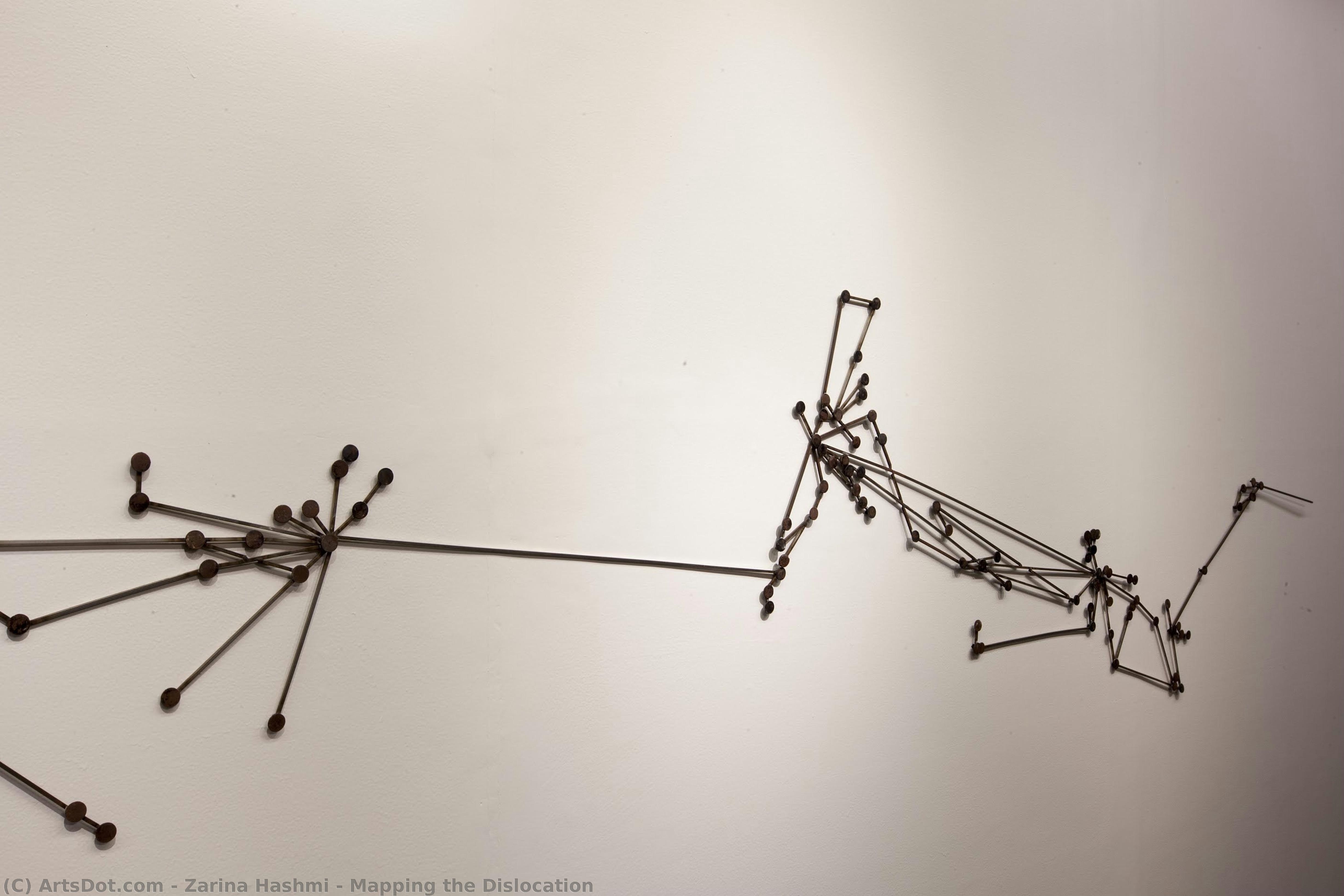 Mapping The Dislocation — Zarina Hashmi
