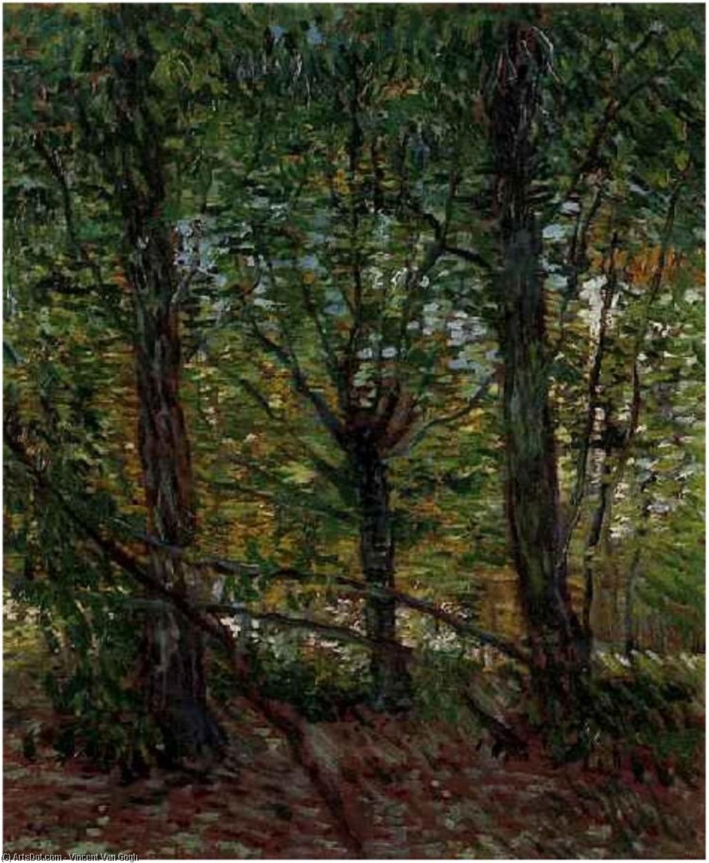 Alberi E Sottobosco — Vincent Willem Van Gogh