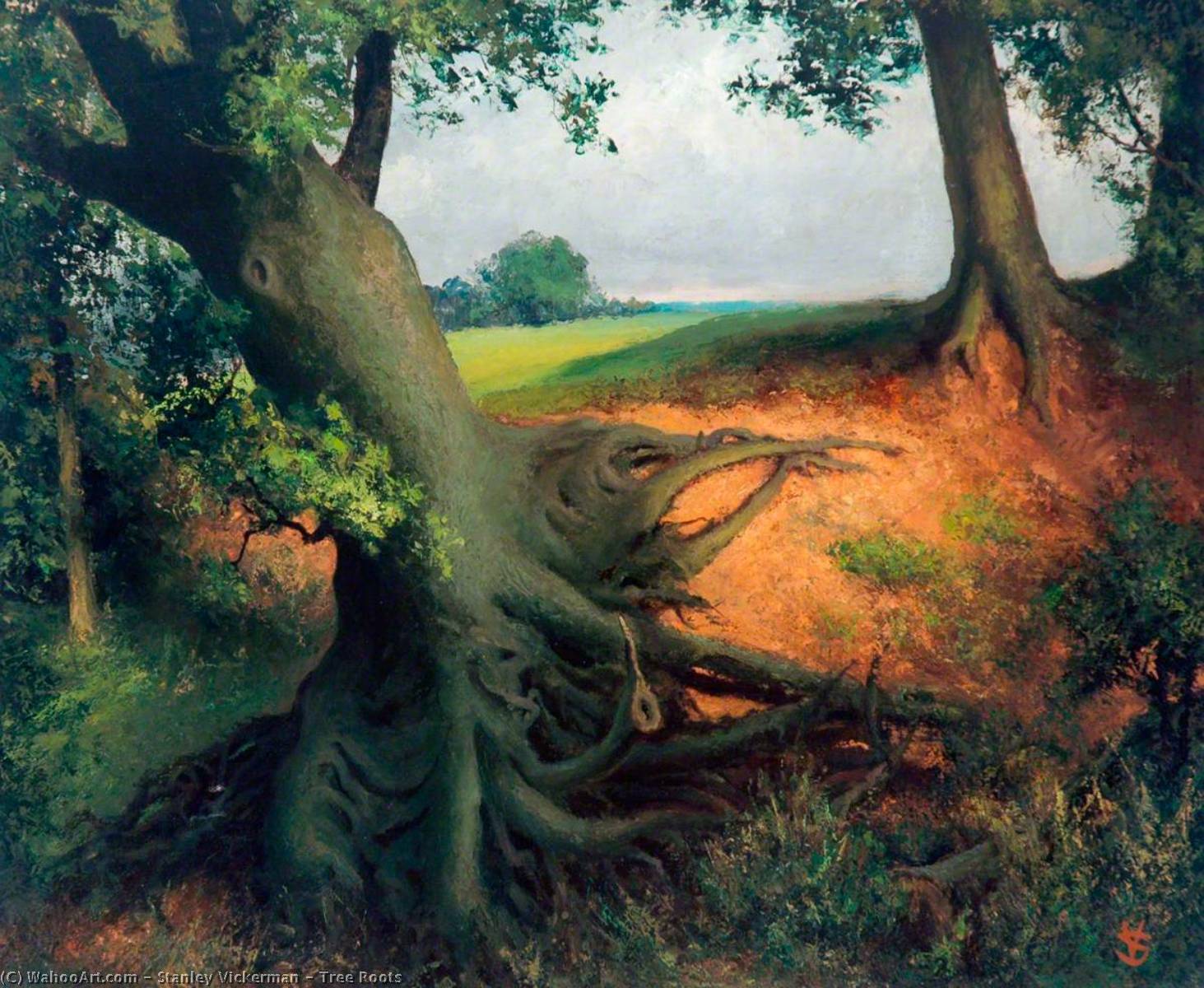 Tree Roots — Stanley Vickerman