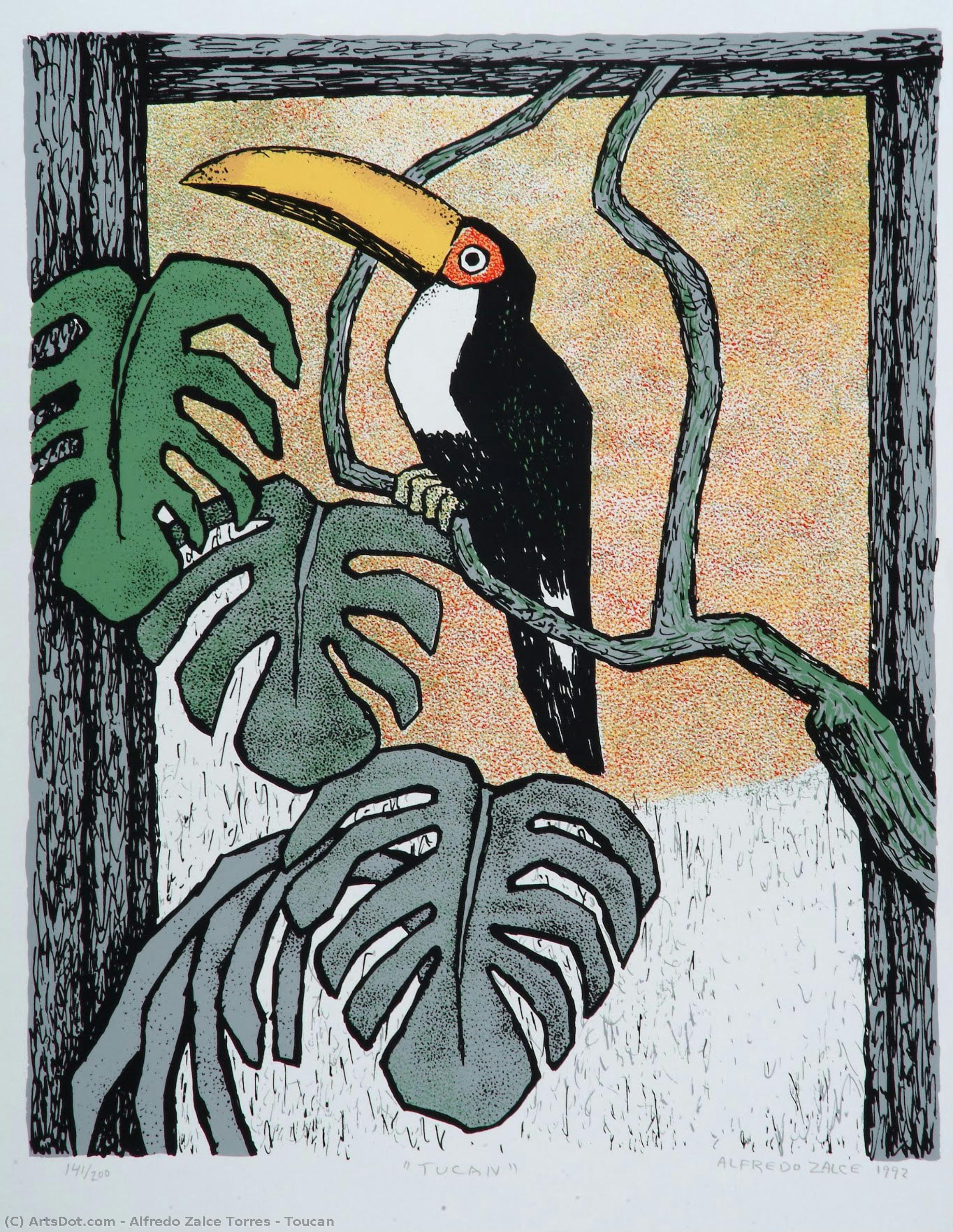 Toucan — Alfredo Zalce Torres
