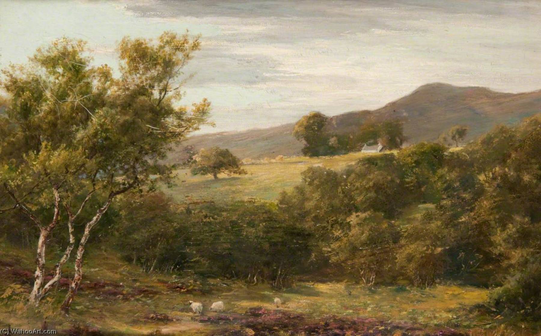 A Glen In Arran — John Stewart