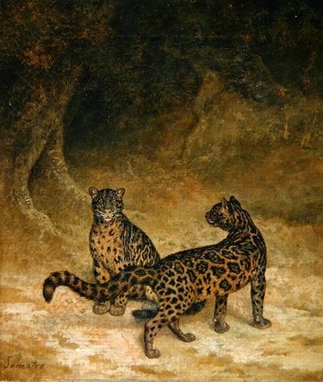 Clouded Leopards, C.1825 — Jacques Laurent Agasse