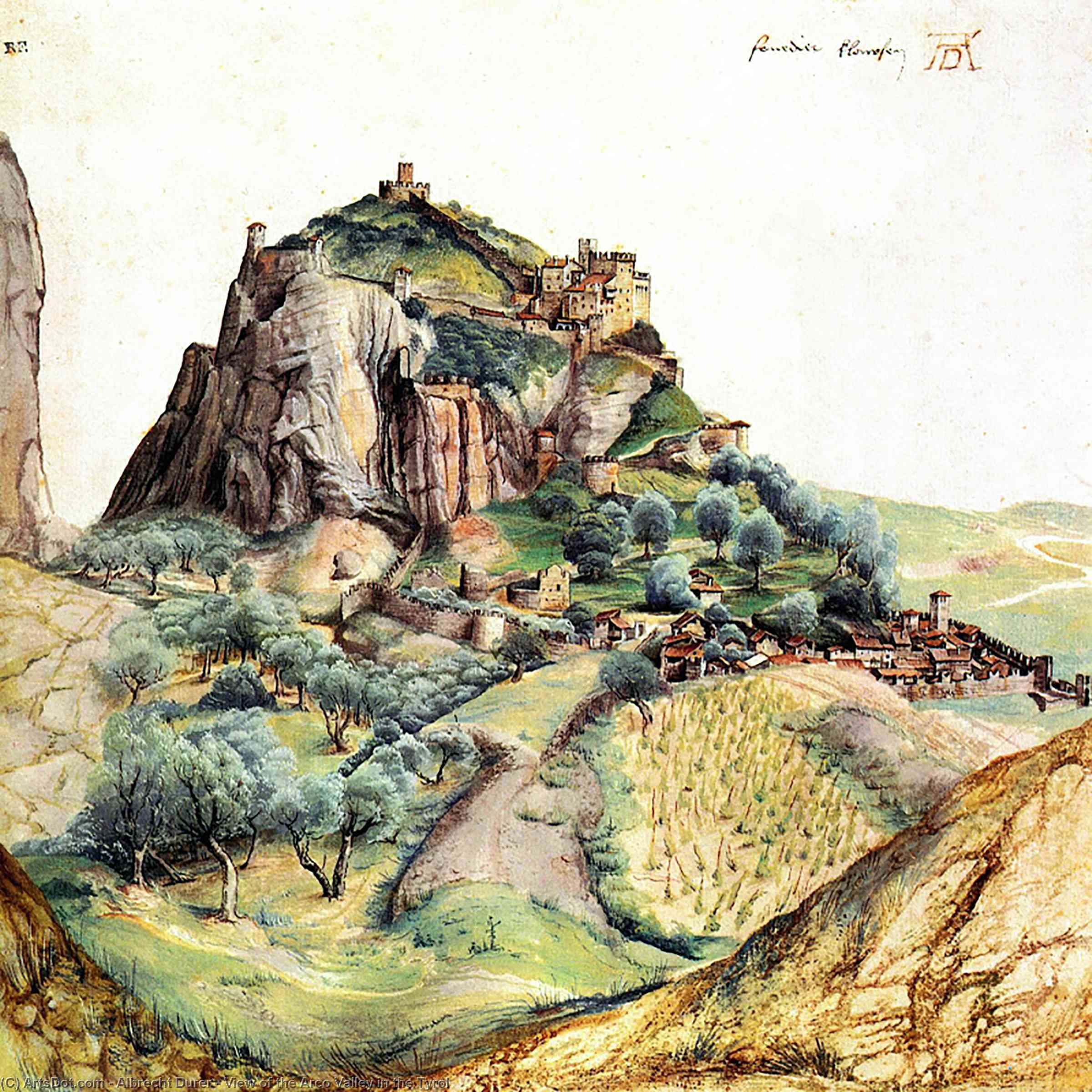 Žiūra Į Arco Kalnią Tyrole — Albrechtas Diureris