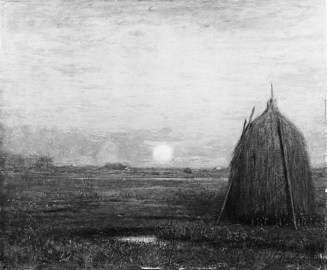 Moonrise At Sunset — Dvajt Vilijam Trajn