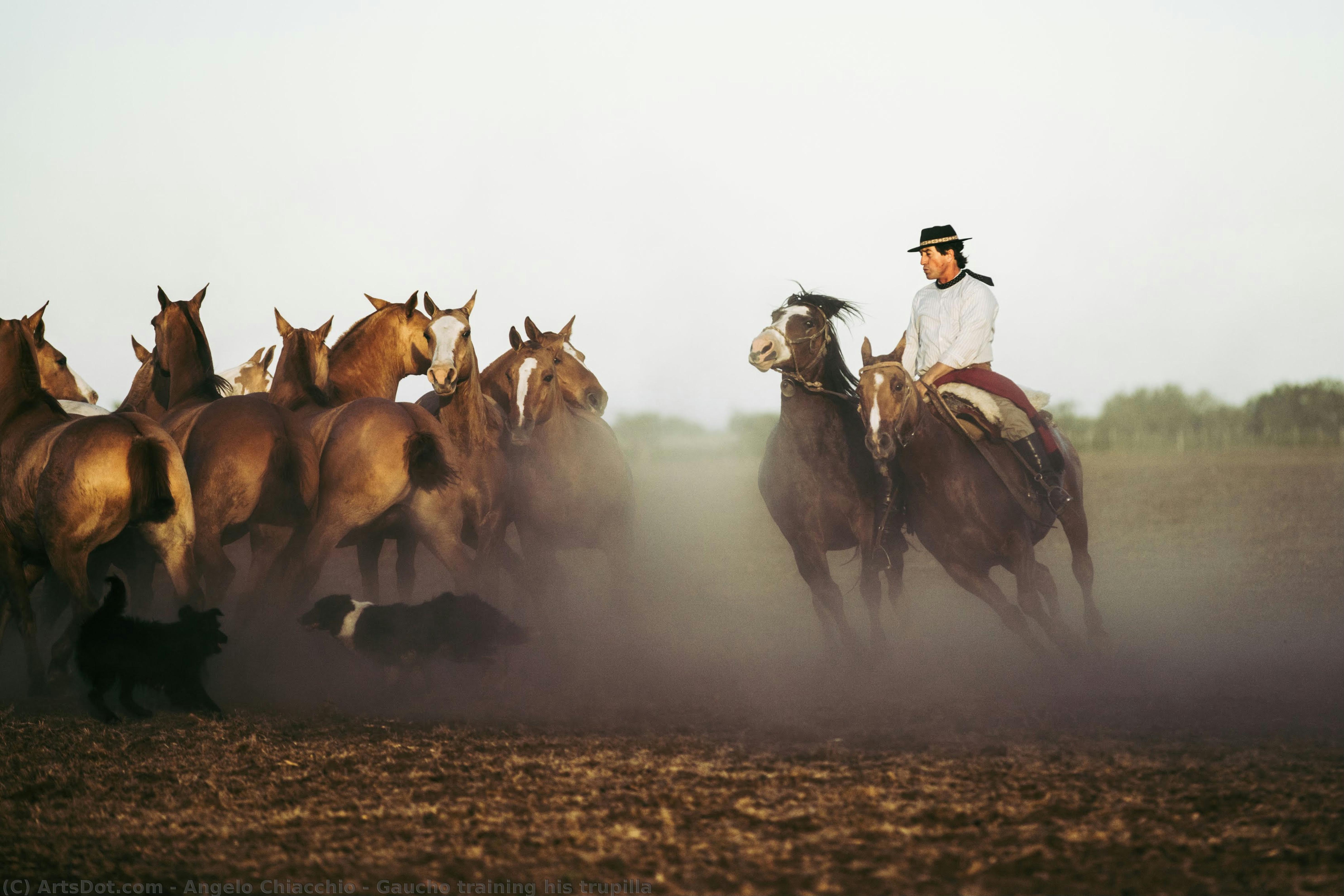Gaucho Training His Trupilla — 안젤로 키아키오