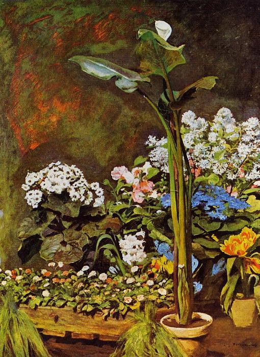 Arum E Piante Da Serra — Pierre-auguste Renoir