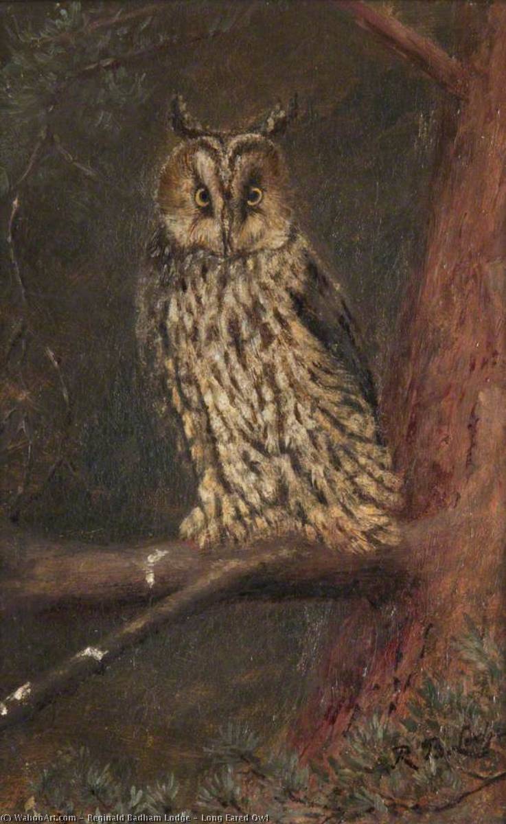 Long Eared Owl — Reginald Badham Lodge