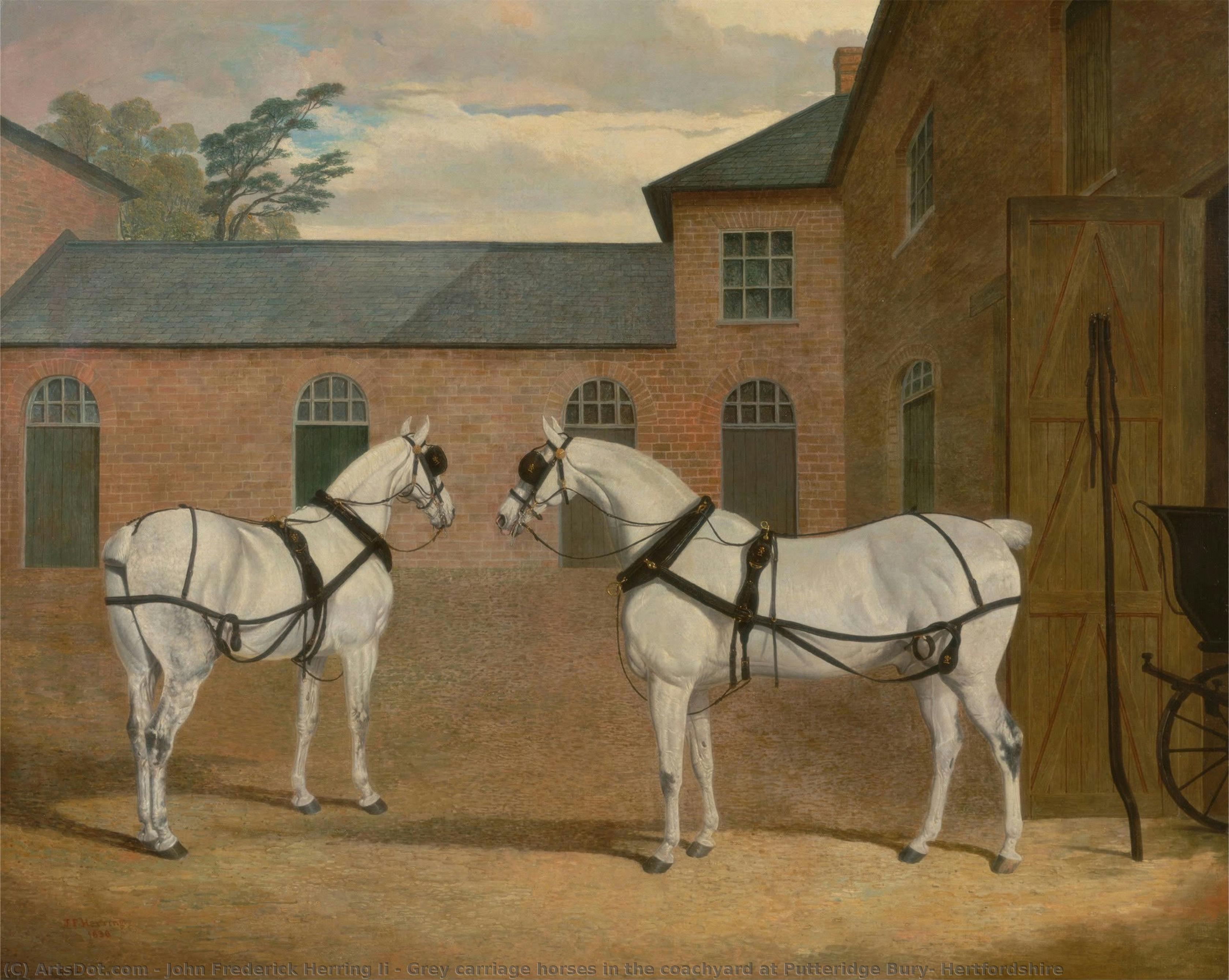 Grey Carriage Horses In The Coachyard At Putteridge Bury, Hertfordshire — John Frederick Herring Ii