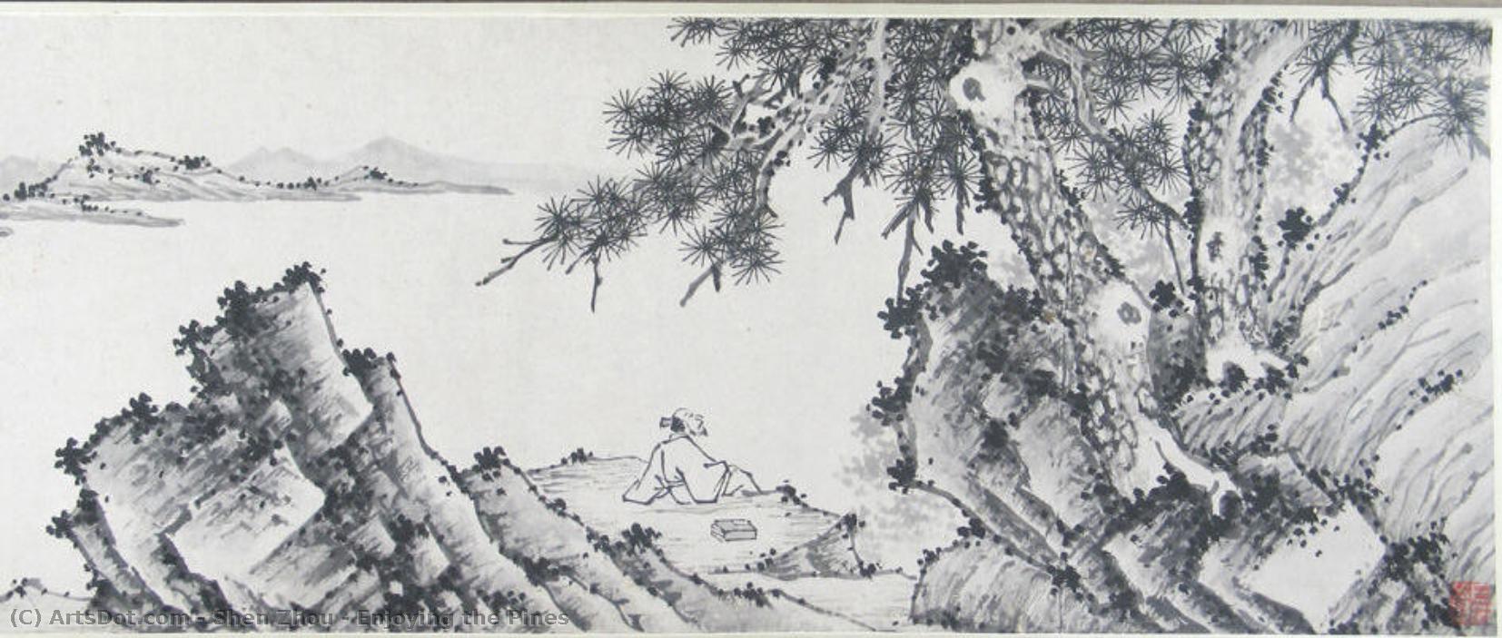Enjoying The Pines — Shen Zhou