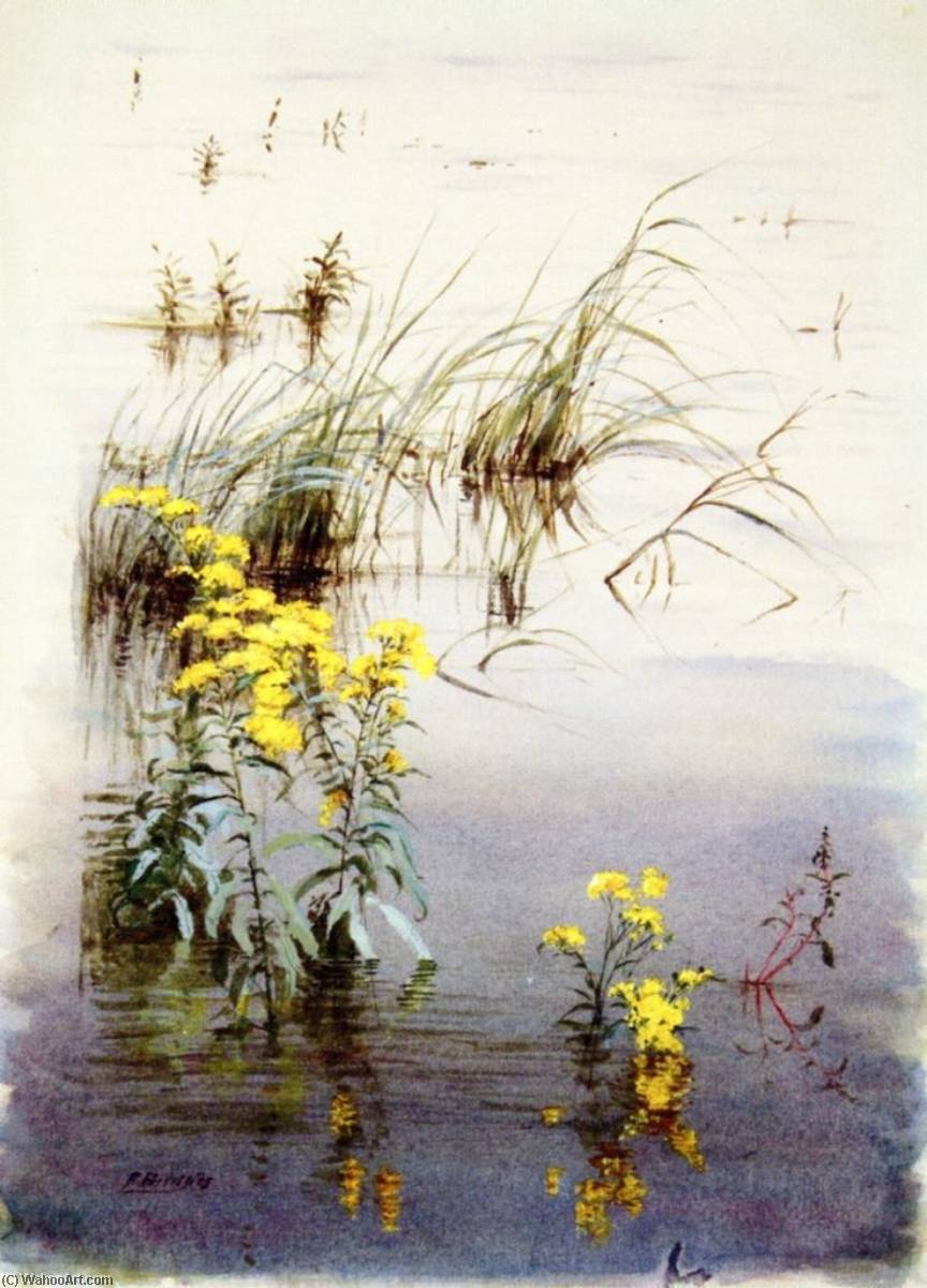 Nature Study — Fidelia Bridges