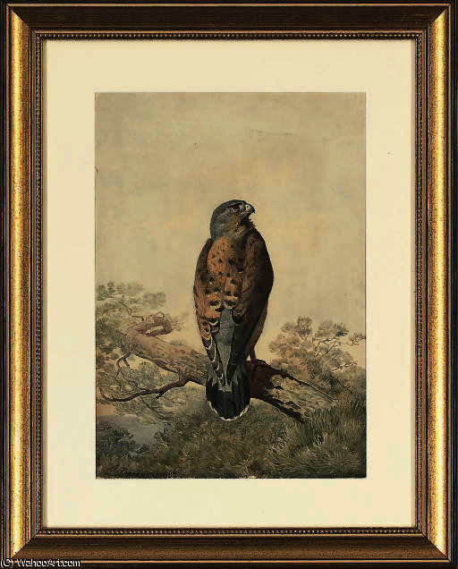 A Perched Kestrel — Archibald Thorburn