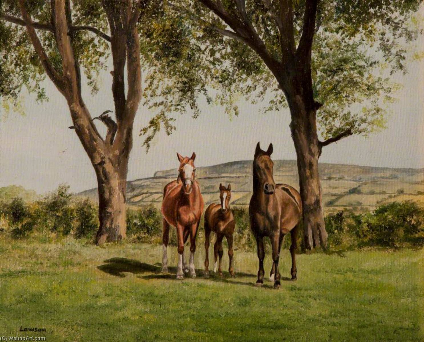 Mare And Foals — John Andrew Lawson