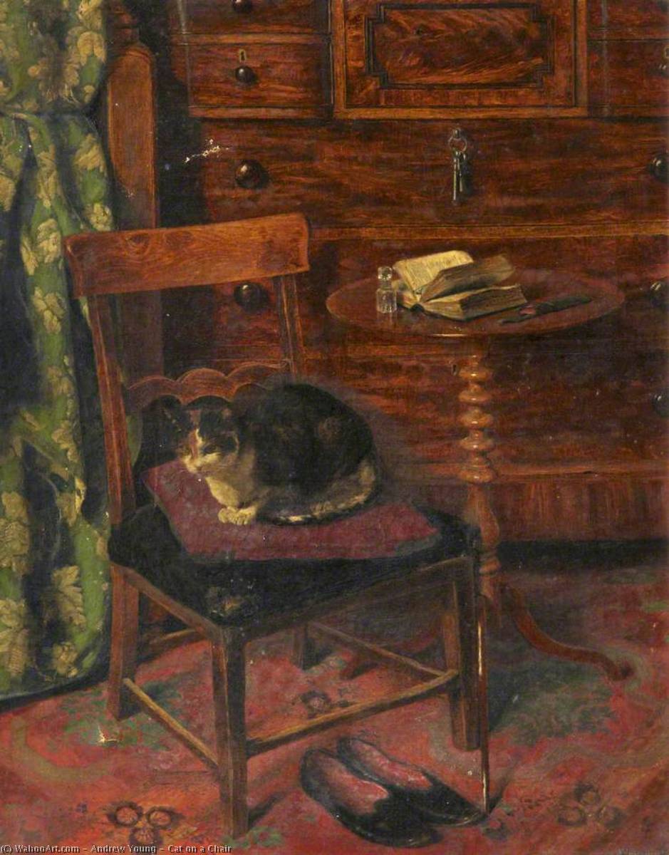 Cat On A Chair — Andrew Young