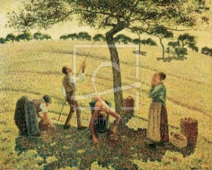 Æblehøst Ved Eragny-sur-epte — Camille Pissarro