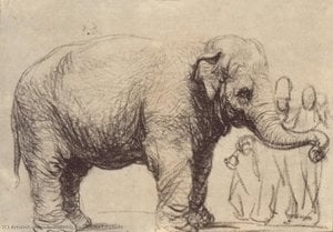 An Elephant — რემბრანდტ პილი, Baroque