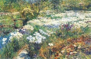 The Water Garden