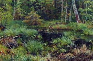 Spring In The Forest — Ivan Šiškin, Realism