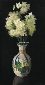 Narcissi