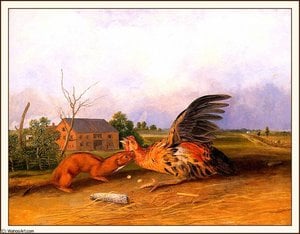 Tawny Weasel — John James Audubon