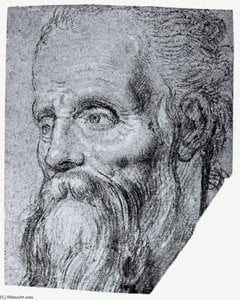 Head Of An Old Bearded Man — Simone Peterzano