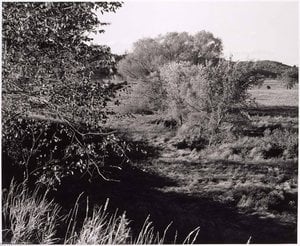 Iowa County, Wisconsin, October 1990 — Gregory Conniff, Contemporary Realism