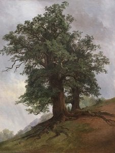 Old Oak — Иван Шишкин, Realism