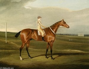 Mr. Poole's Tawny With Jockey Up — David Of York Dalby