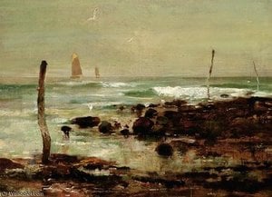 Seagulls On The Coast