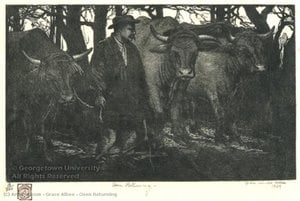 Oxen Returning