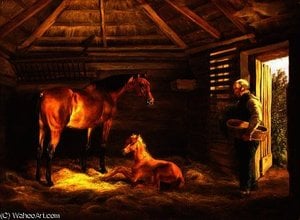English Mare With Her Foals — Adam Albrecht
