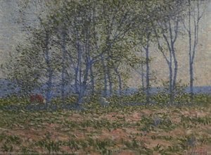 Feuilles de printemps