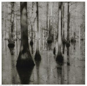 Bayou — Sally Gall