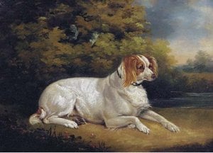 Reclining Brittany Spaniel