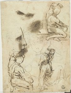 Three Studies And A Sketch Of A Male Figure Both Nude And Clothed (for “stigmatization Of Saint Francis”, Urbino, Galleria Nazionale Delle Marche); Profile — ფედერიკო ბაროჩი, Baroque Mannerism