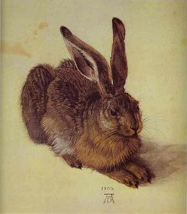 A Young Hare — Albrecht Dürer, Northern Renaissance
