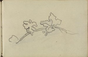 Sketch 163