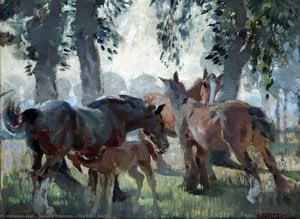The Black Mare — Dorothy Adamson