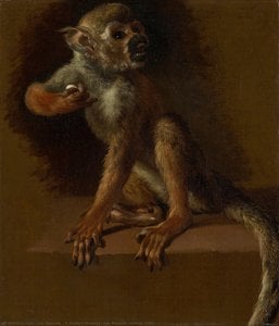 A Seated Monkey, Jan Weenix, Before 1685 — Jan Weenix, Baroque